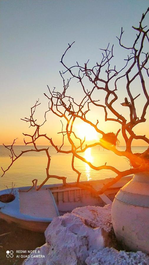 Sea Sound Villa Agios Dimitrios  Exteriör bild