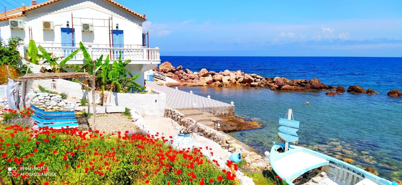 Sea Sound Villa Agios Dimitrios  Exteriör bild